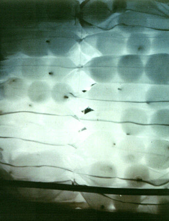 Ovos do Vento (1979)