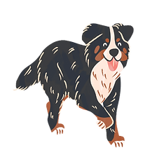 未命名設計 (7)_edited.png