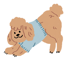 你的段落文字 (22)_edited.png