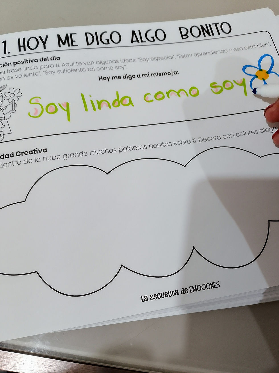 Miniatura: Diario de autoestima