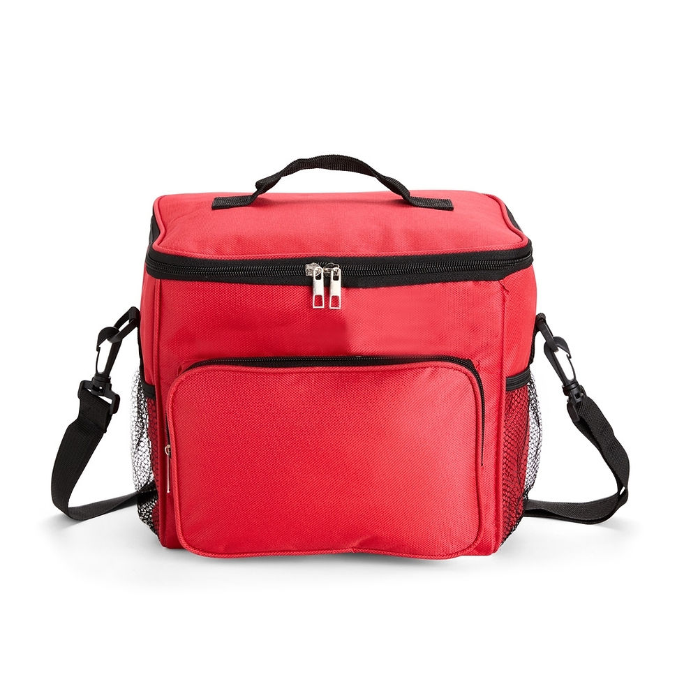 Miniatura: Bolsa Térmica Oxford 11L  Cod 18965
