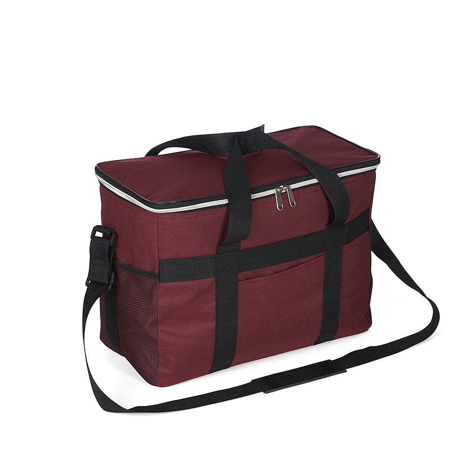Miniatura: Bolsa termica 33 litros cod 18605