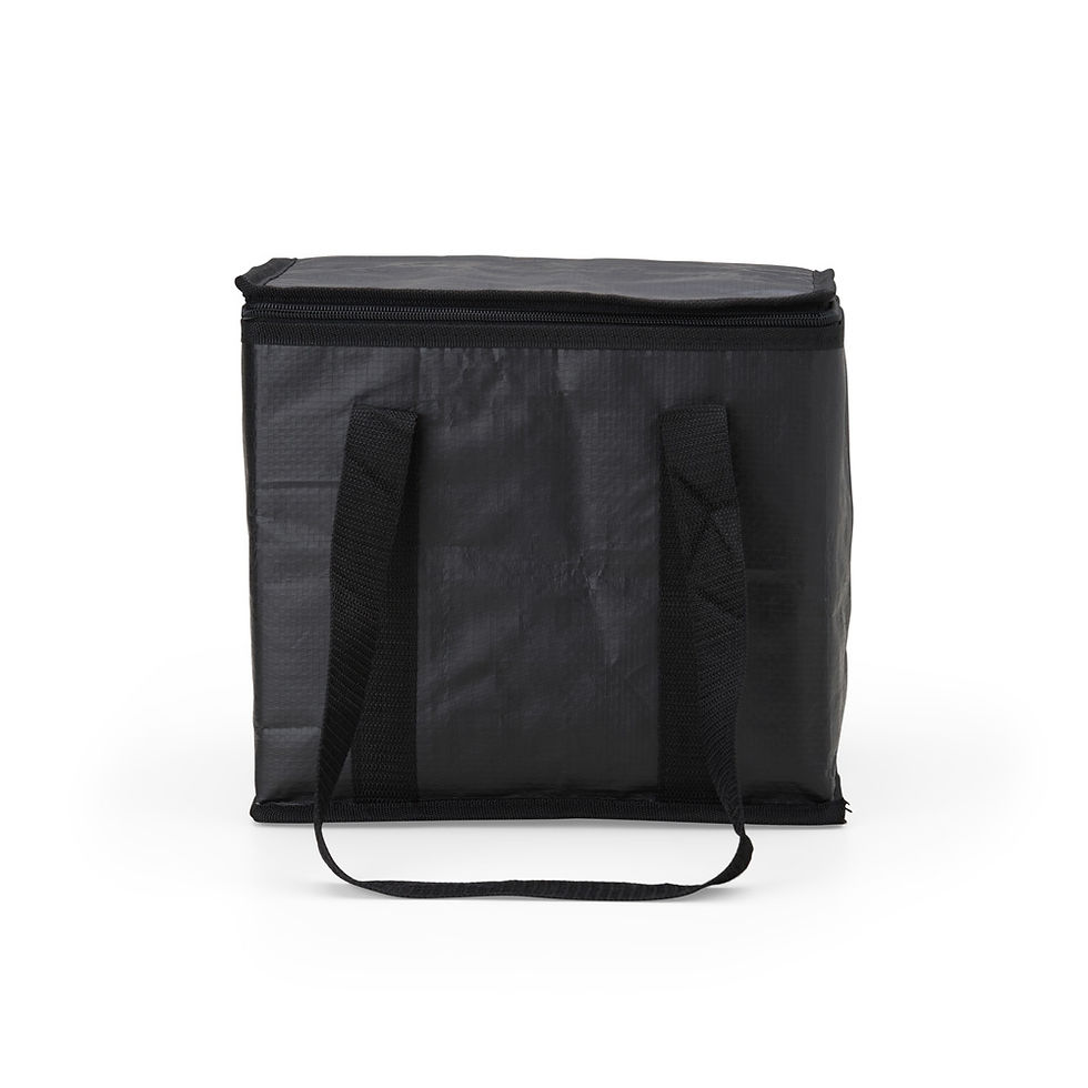 Miniatura: Bolsa termica 12 litros cod 02697