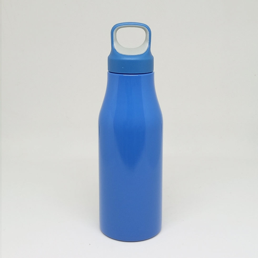 Miniatura: Garrafa inox 650 ml cod 18637