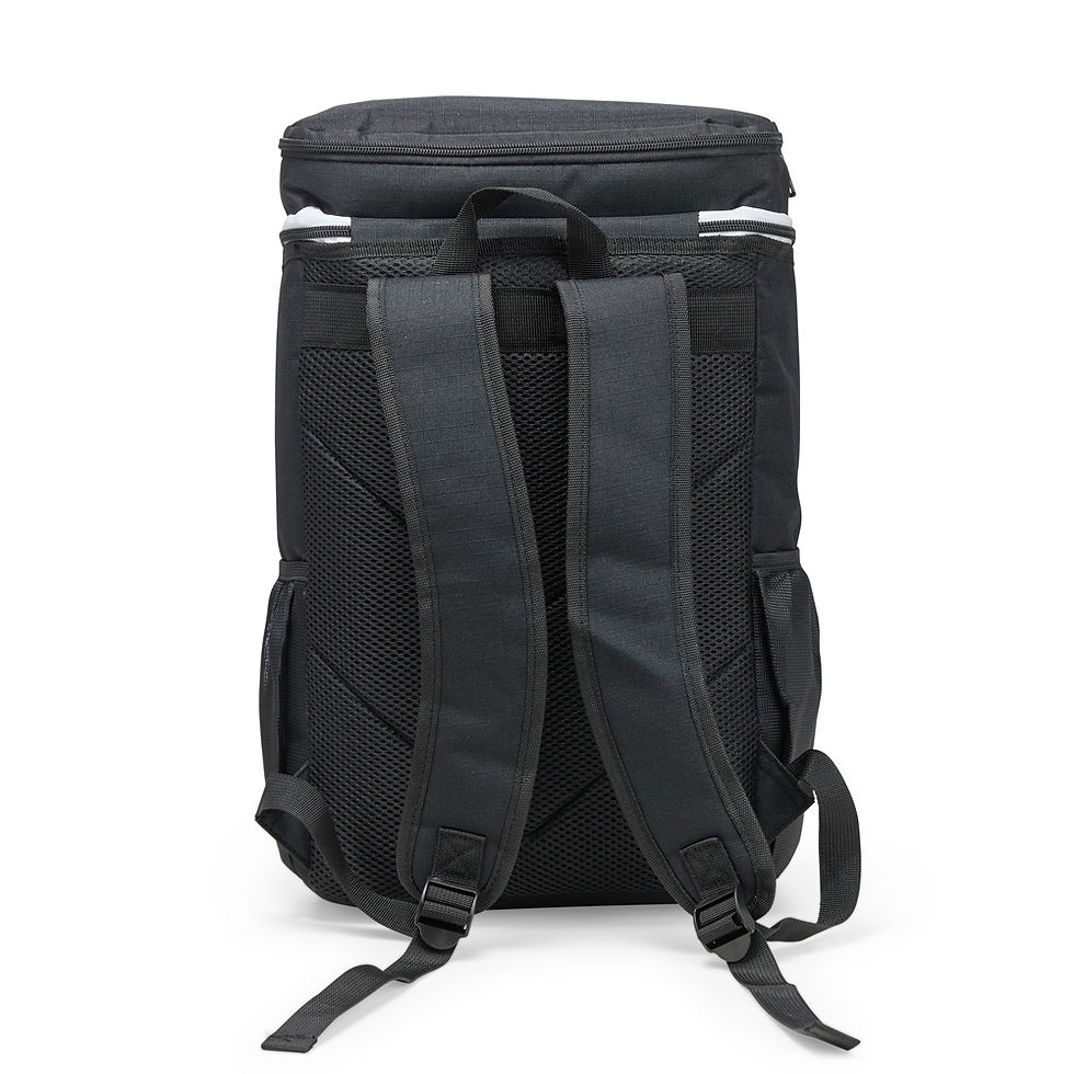 Miniatura: Mochila Térmica 18 Litros  Cod 08314
