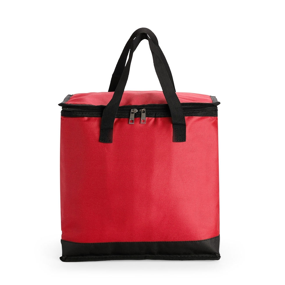 Miniatura: Bolsa Térmica 27L Cod 08274