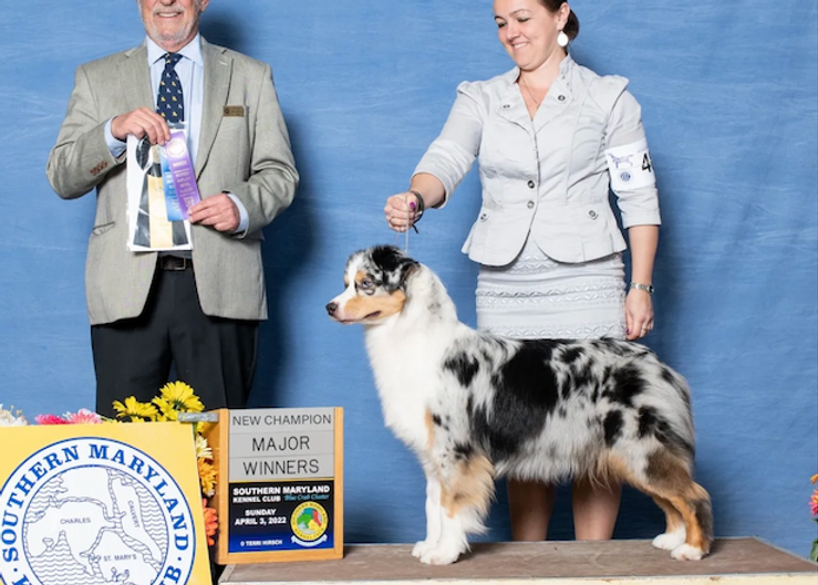 Screenshot 2025-07-11 at 4.05.52 PM.png