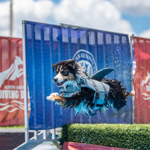 7207B0F5-C582-487E-8D42-281A908658CE.jpeg