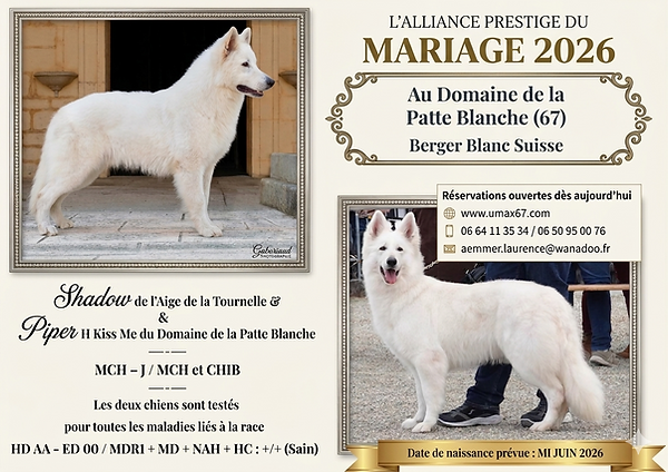MARIAGE SHADOW ET PIPER 2026.png