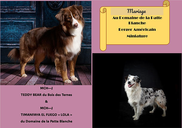 Composition3 LOLA ET TEDDY_edited.jpg