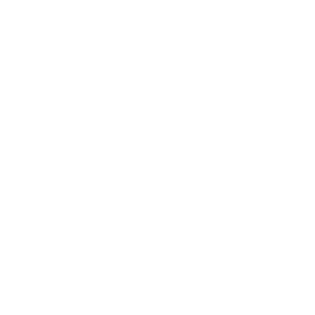 FAQ noun-6218262-FFFFFF.png
