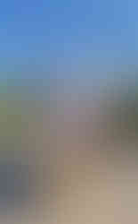 Winneshiek County Freedom Rock-Calmar