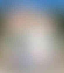 Johnson County Freedom Rock-Solon