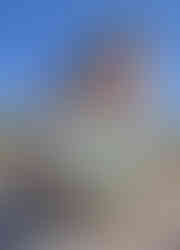 Johnson County Freedom Rock-Solon