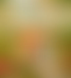 Bonds and Blooms Review