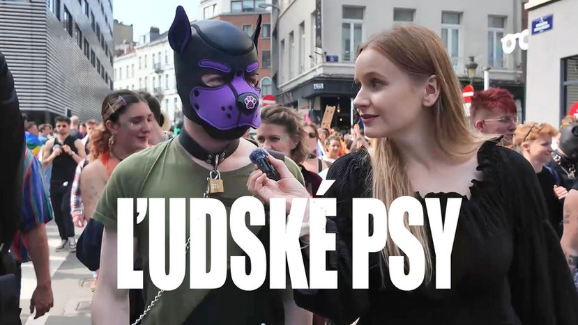 Reportáž: Rozhovor s ľudskými psami