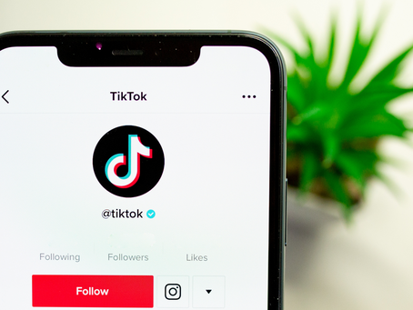 The Power of TikTok: A Guide to Promoting Your Small Business