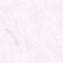 Dawn Hunter Artist_Cheetah Print for Website.jpg