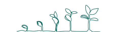 The progression of a plant from seedling to fully grown
