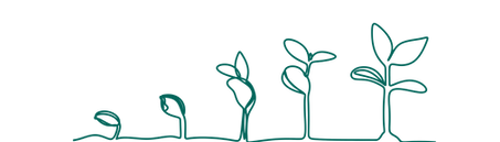 The progression of a plant from seedling to fully grown