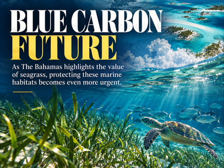 THE BAHAMAS PUTS SEAGRASS AT THE CENTER OF ITS BLUE CARBON FUTURE