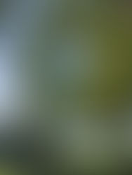 Assemblée générale de l'association