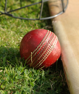 Cricket Gear Closeup