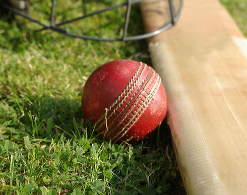 Red Cricket Ball