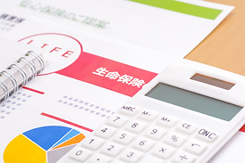 多彩な保険商品ラインナップ