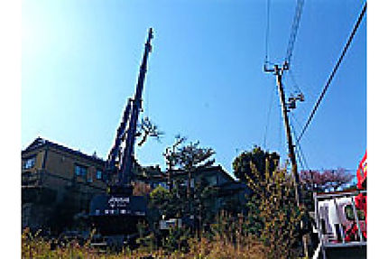 伐採・伐根
