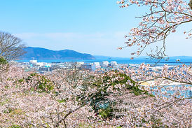 地域密着の信頼と実績