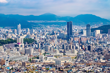 地域に根ざした