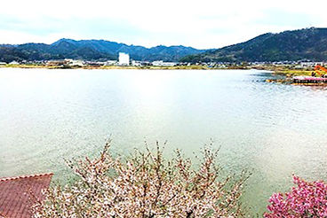自然に包まれたやすらぎの環境でのケア