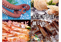 貝類・いか
