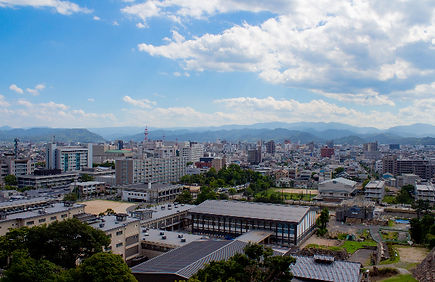 <折込地区/折込日時>*鳥取本部
