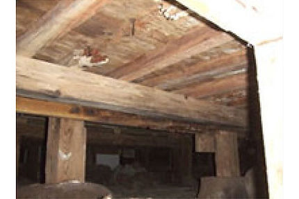 まずは西日本防虫防除工事にご相談下さい