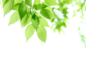 信頼できる製品の取り扱い