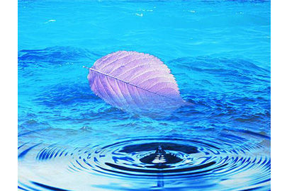 有限会社大沢地下工業