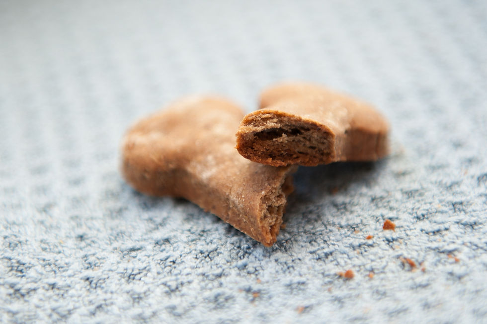 Thumbnail: Diggin' for Pumpkin Cinnamon