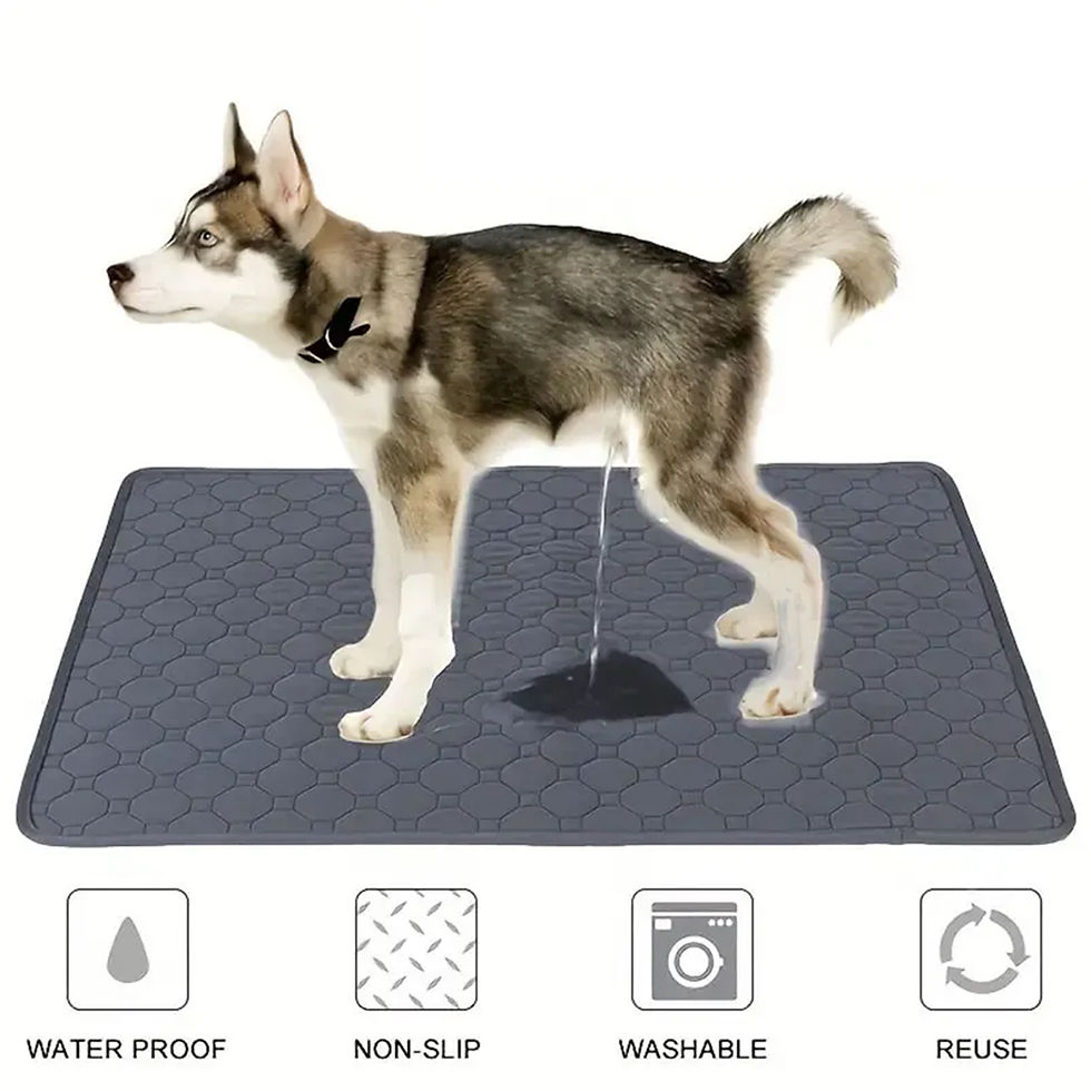 Thumbnail: Dog Pee Pad Reusable Washa