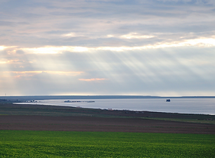 Screen Shot 2022-06-21 at 11.04.49.png