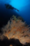 dive-koh-bida-nok-v-001