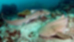 banner-trip-hin-klai.jpg