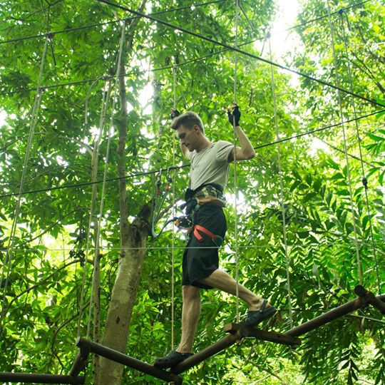 tree top adventure park