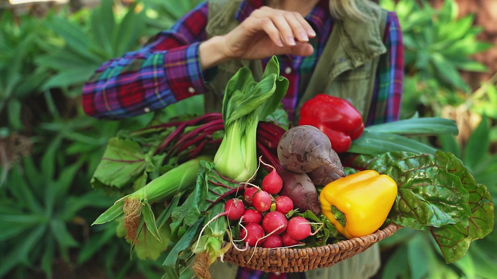Miniatura: AdClean Foods