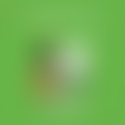 Kini Telah Hadir di Tokopedia dan Shopee !