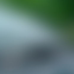 🌧️🚘 Em Abril, águas mil! As suas escovas estão prontas? 