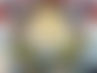 Remembering Colonisation