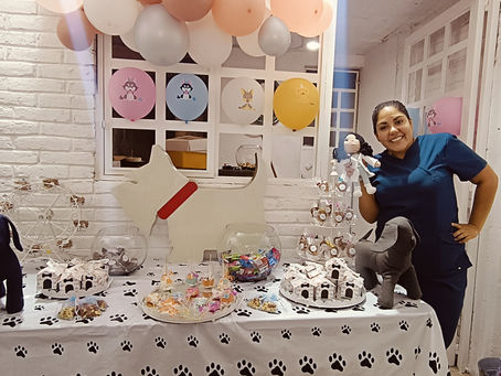 Croketa un Nuevo Espacio Para Consentir a Tus Mascotas