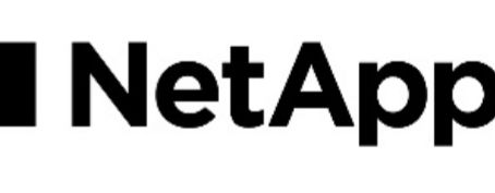 NetApp Reports Second Quarter of Fiscal Year 2025 Results.